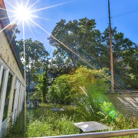 Apartment Hirsch56 - Zentral-ruhig-terrasse-netflix